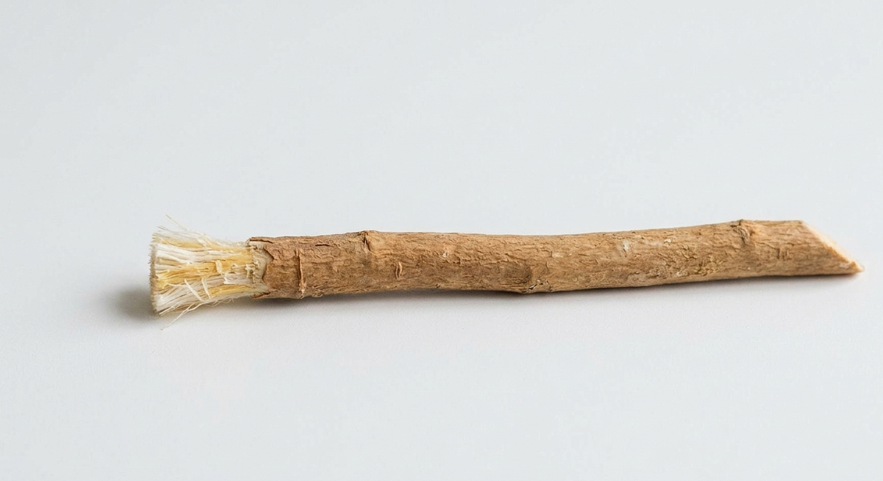 Miswak - Naturens Tandborste | Oris Cura