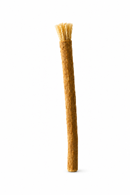Miswak - Naturlig tandborste, alternativ till tandborste | Oris Cura
