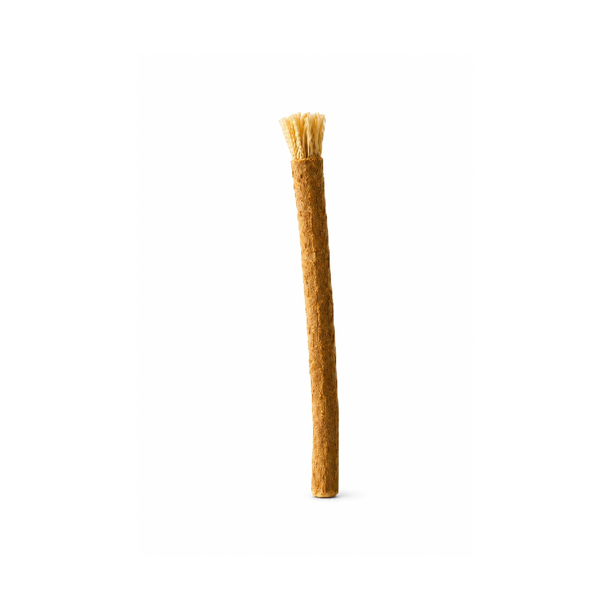 Miswak - Naturlig tandborste, alternativ till tandborste | Oris Cura